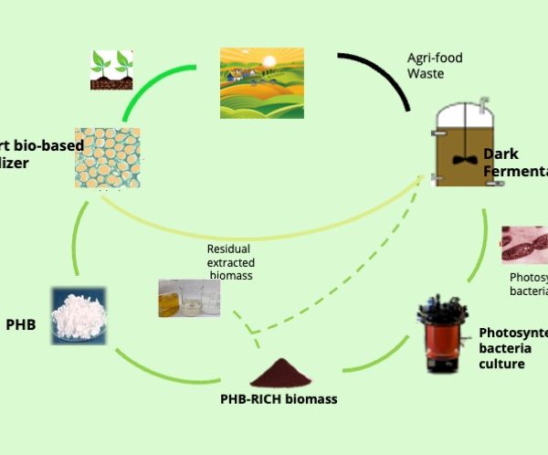 Diagramma di flusso economia circolare