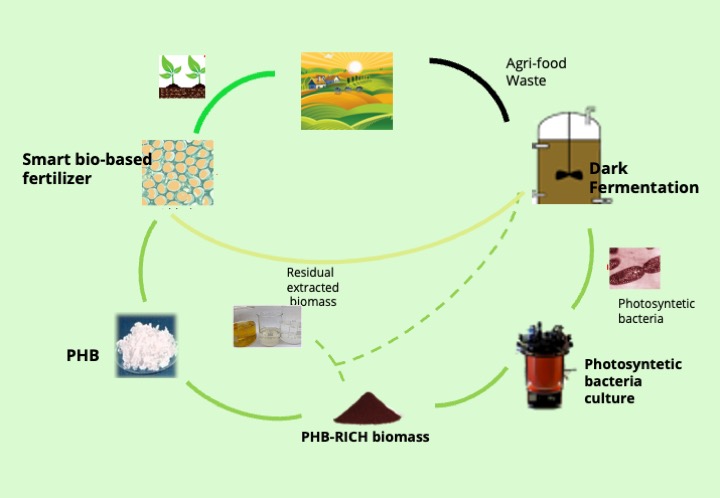 Diagramma di flusso economia circolare