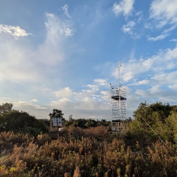 torre eddy-covariance nella macchia mediterranea