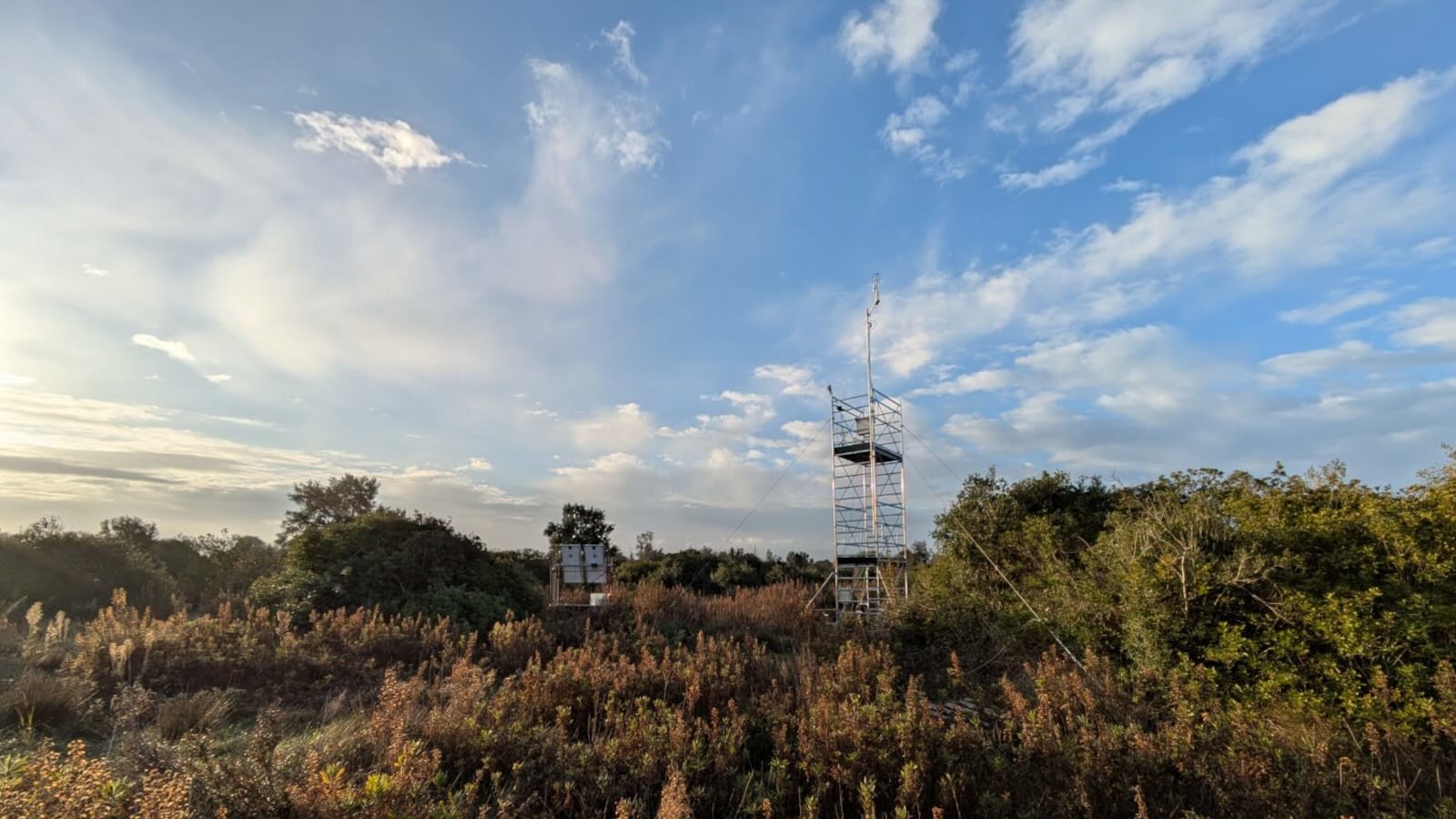 torre eddy-covariance nella macchia mediterranea