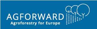 logo agforward