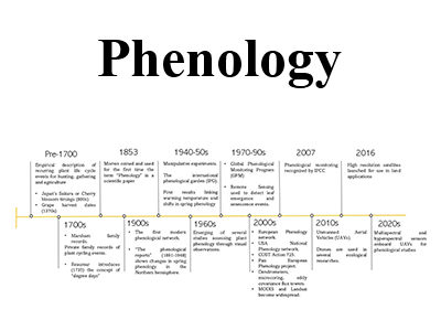 diagramma della fenologia