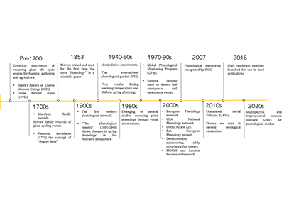 Timeline history of the development of plant phenological observation, experiments and modelling