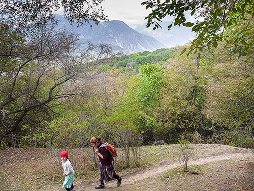 Bosco di Castagni