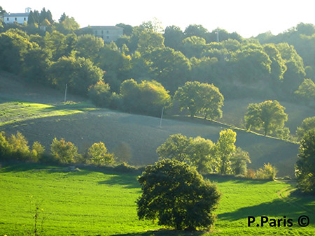 paesaggio collinare