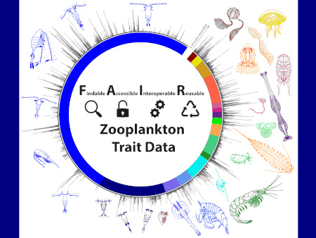 logo di zooplankton