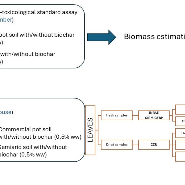 schema sperimentale del progetto