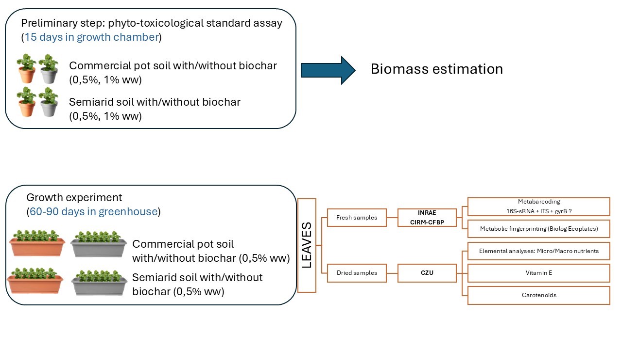 schema sperimentale del progetto