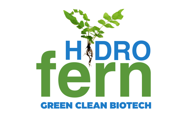 HYDRO FERN for water depuration