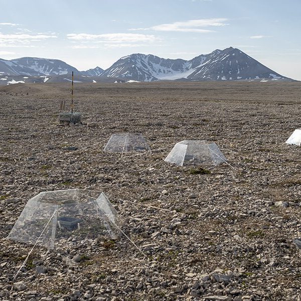 camere OTP su territorio delle Svalbard