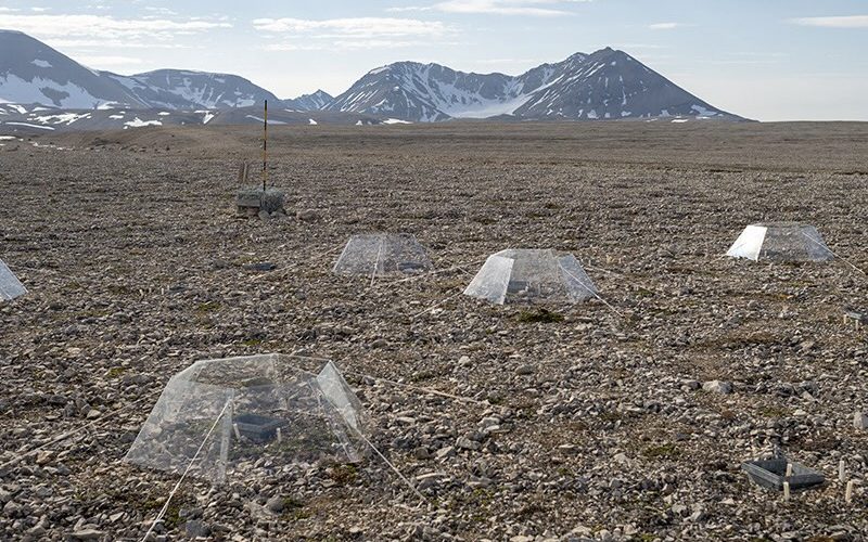 camere OTP su territorio delle Svalbard