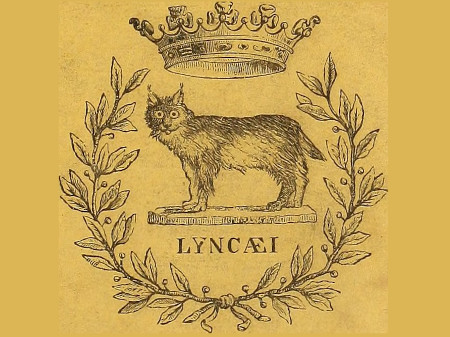 logo accademia dei lincei