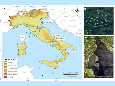 mappa Italia e immagini satellitari di vegetazione