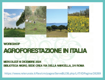 locandina dell'evento