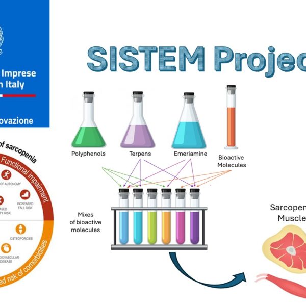 schema di funzionamento del progetto