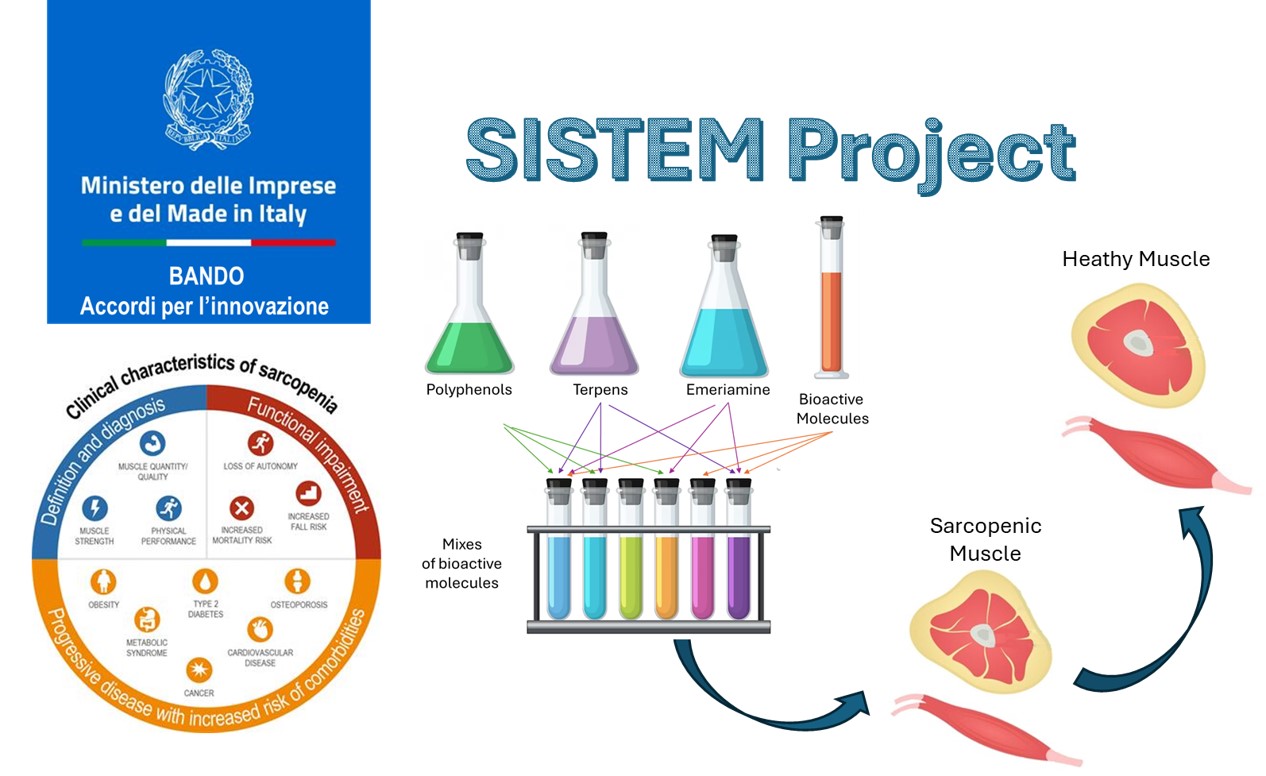 schema di funzionamento del progetto